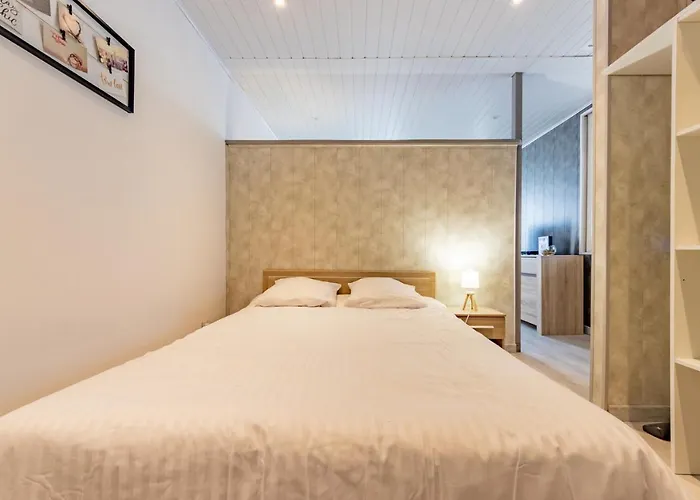 Apartamento Le Quai Poult Proche Gare Grand Parking Gratuit Montauban